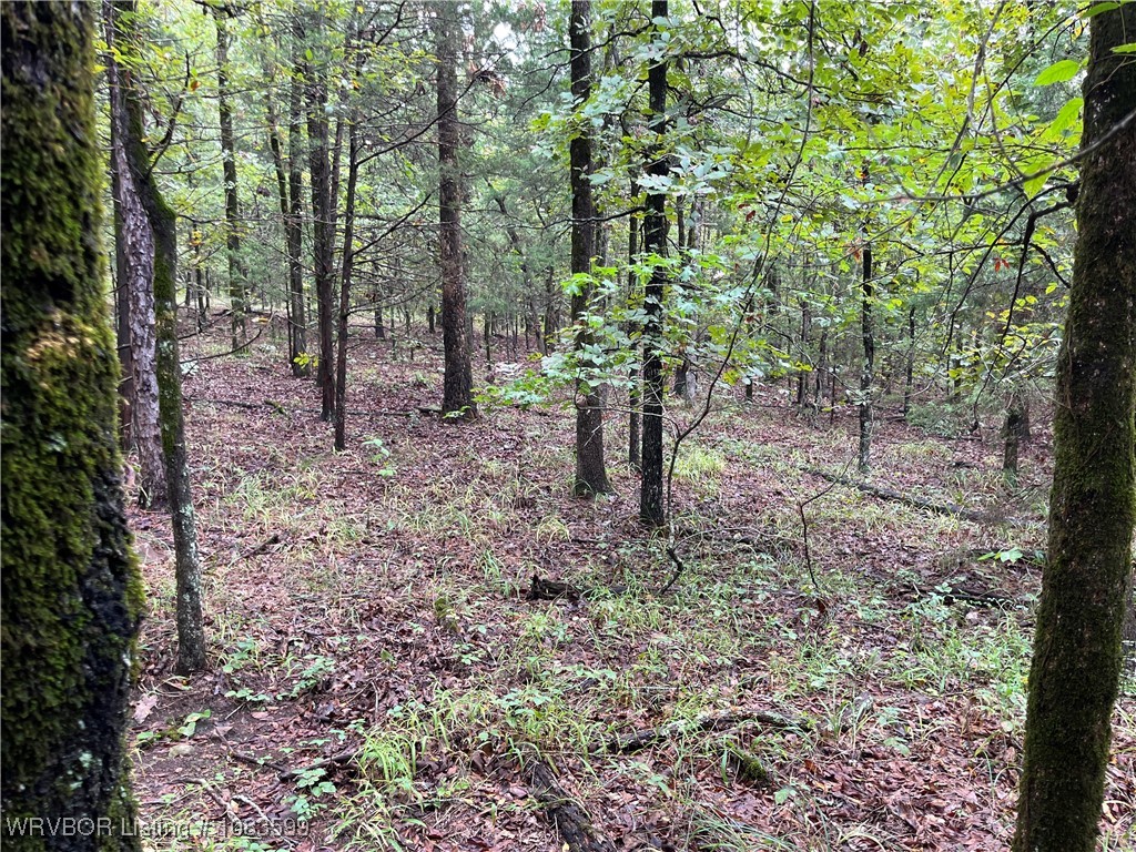 main property photo 8