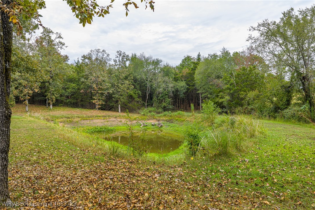 main property photo 55