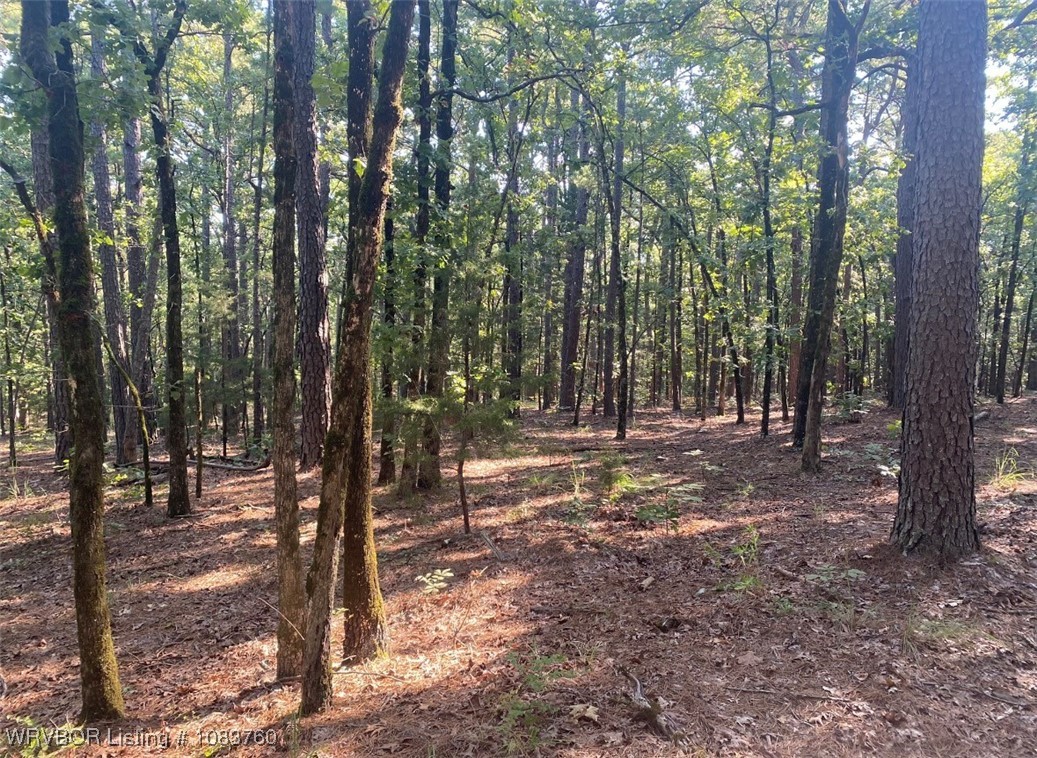 main property photo 12