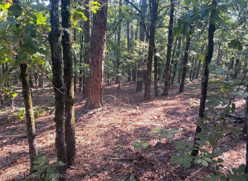 main property photo 19