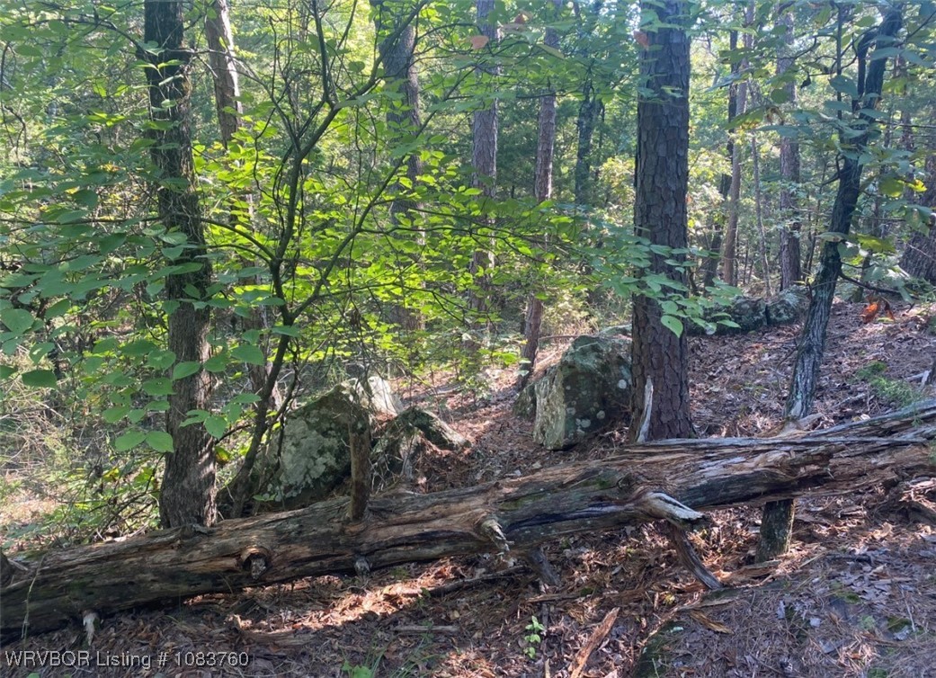 main property photo 23