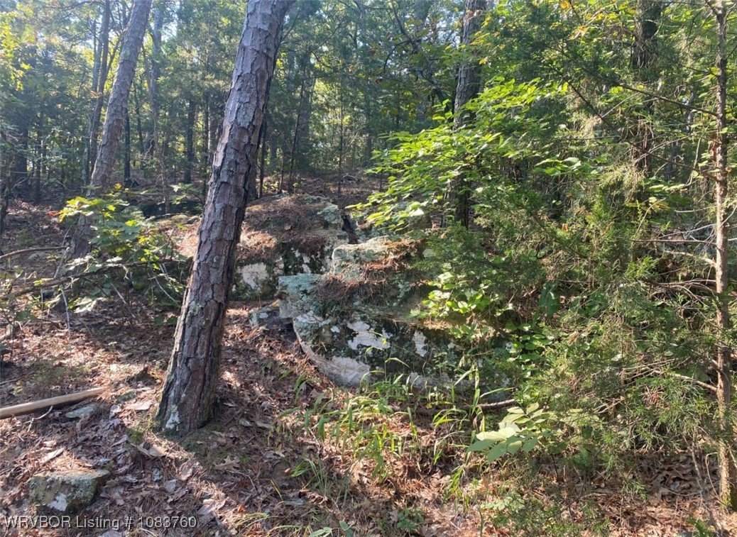 main property photo 24