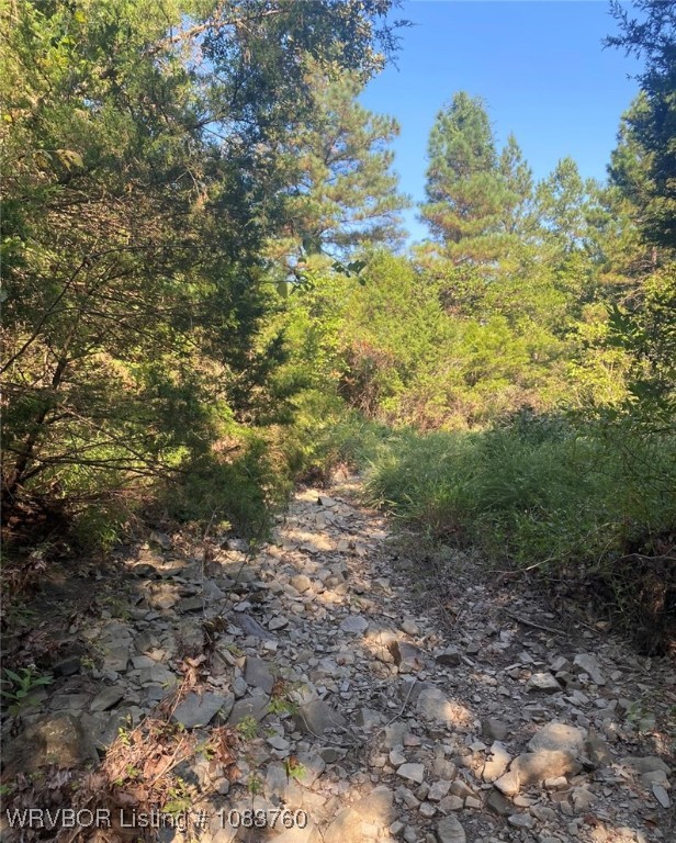 main property photo 25