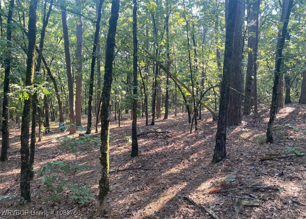 main property photo 6