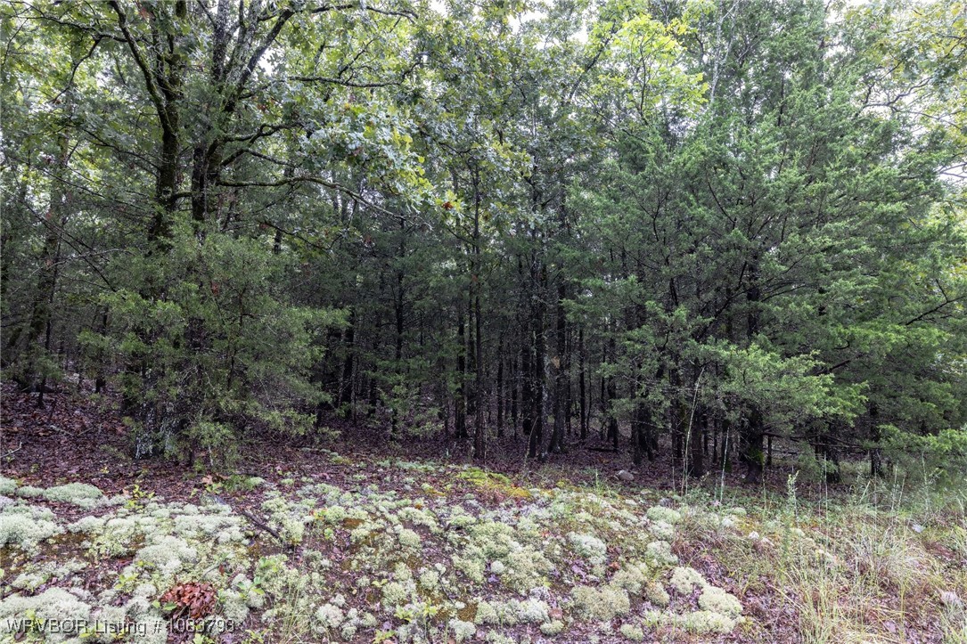 main property photo 22