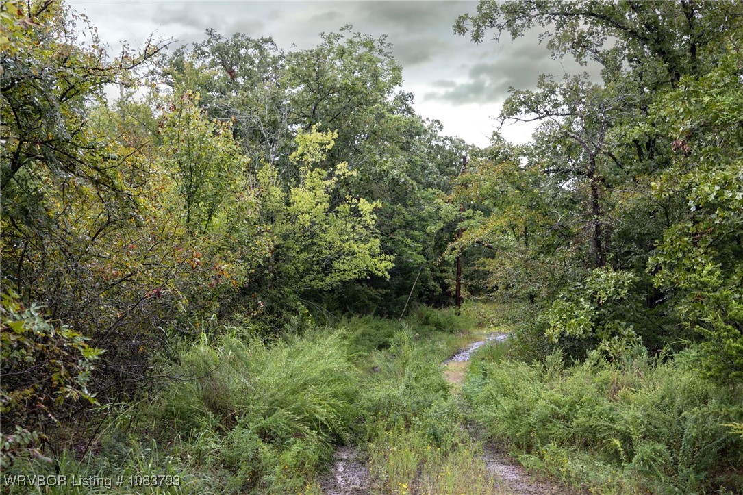 main property photo 25