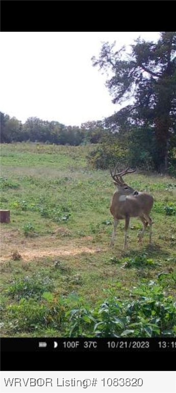 main property photo 12