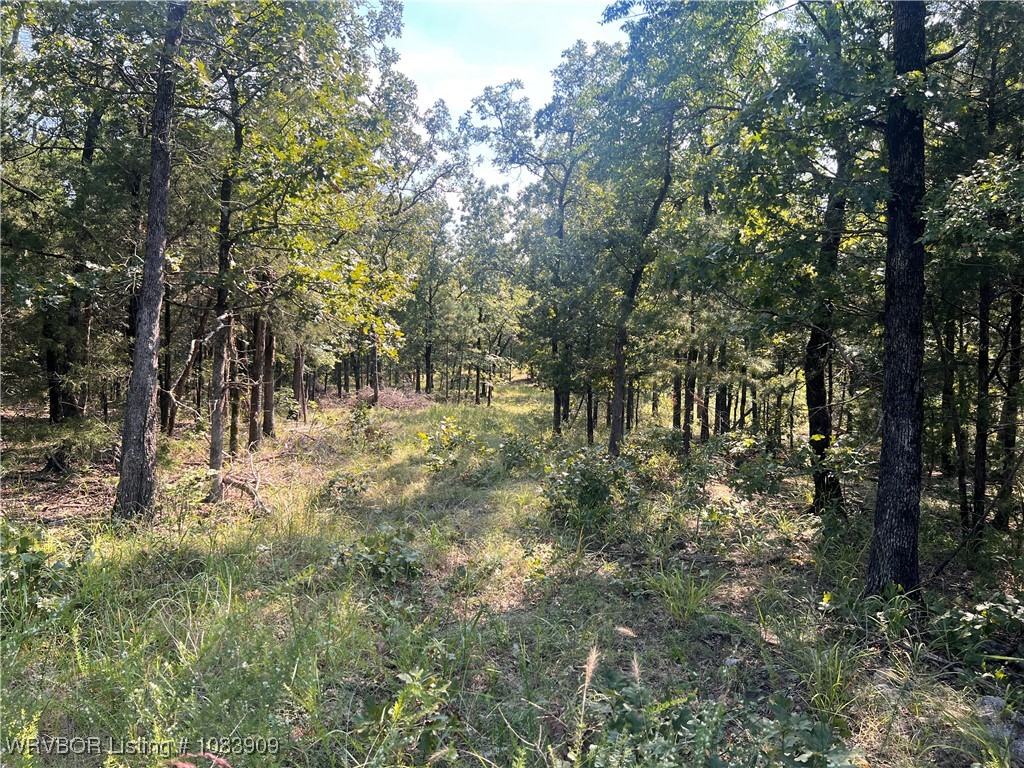 main property photo 11