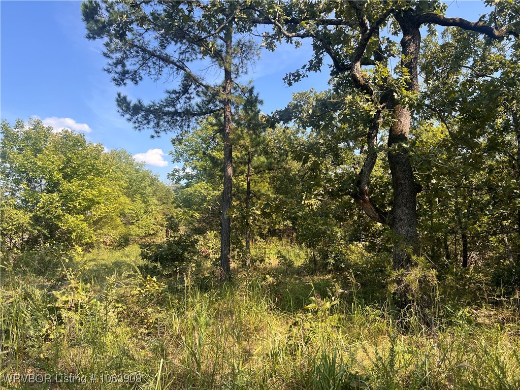 main property photo 12