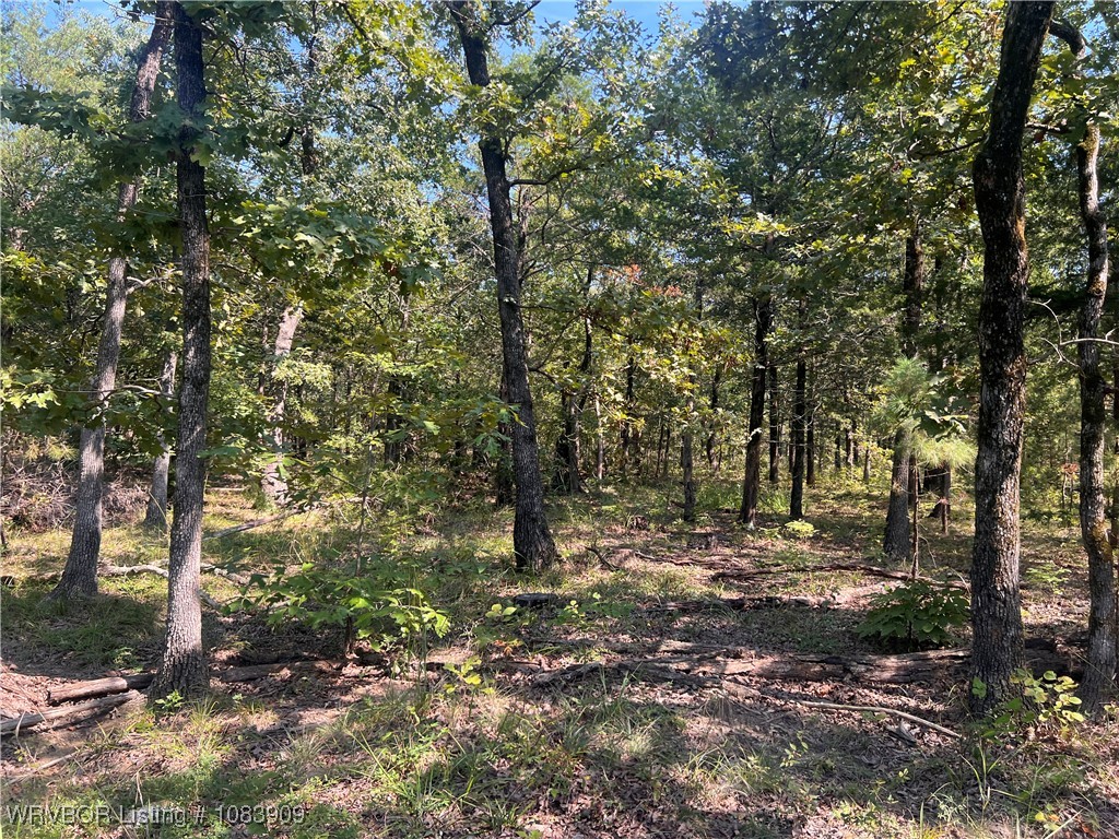 main property photo 13