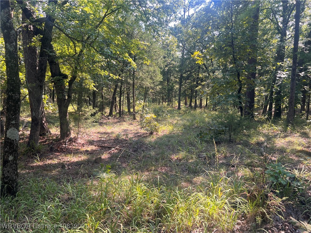 main property photo 7