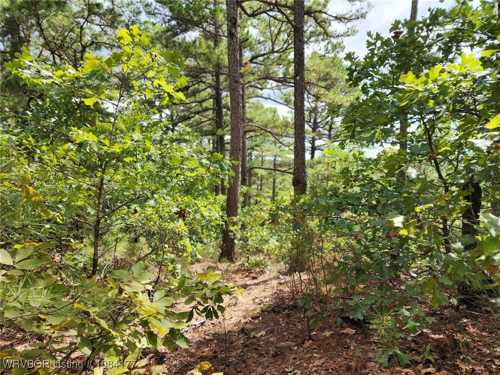 main property photo 11