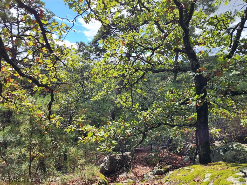 main property photo 12