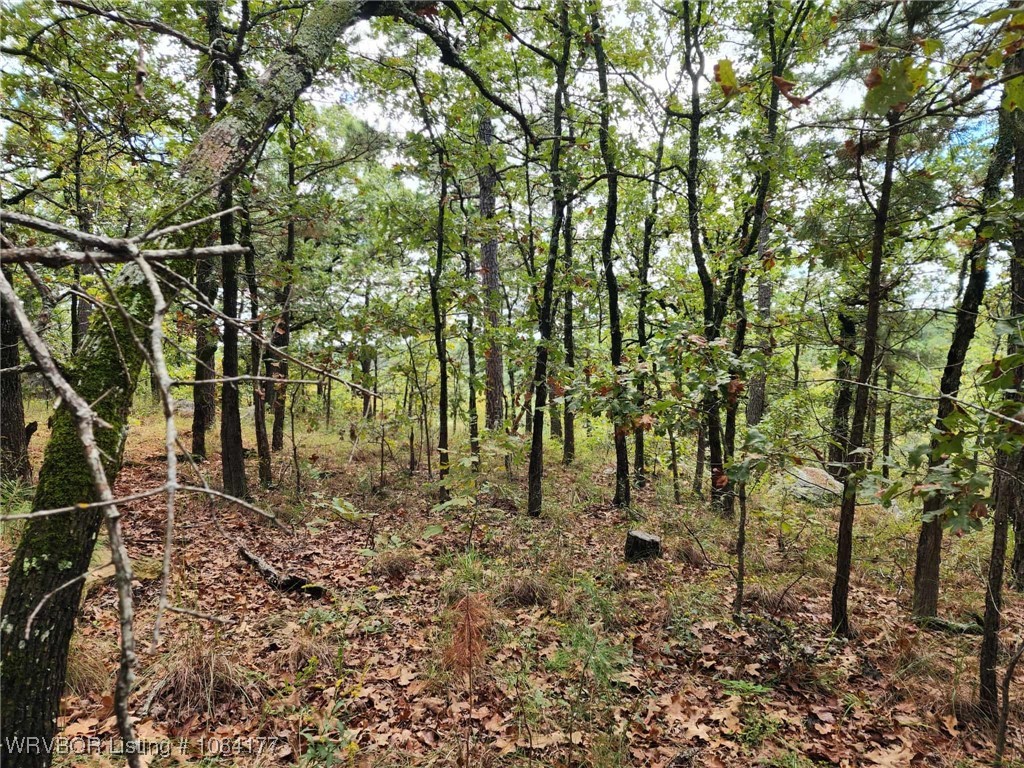 main property photo 13
