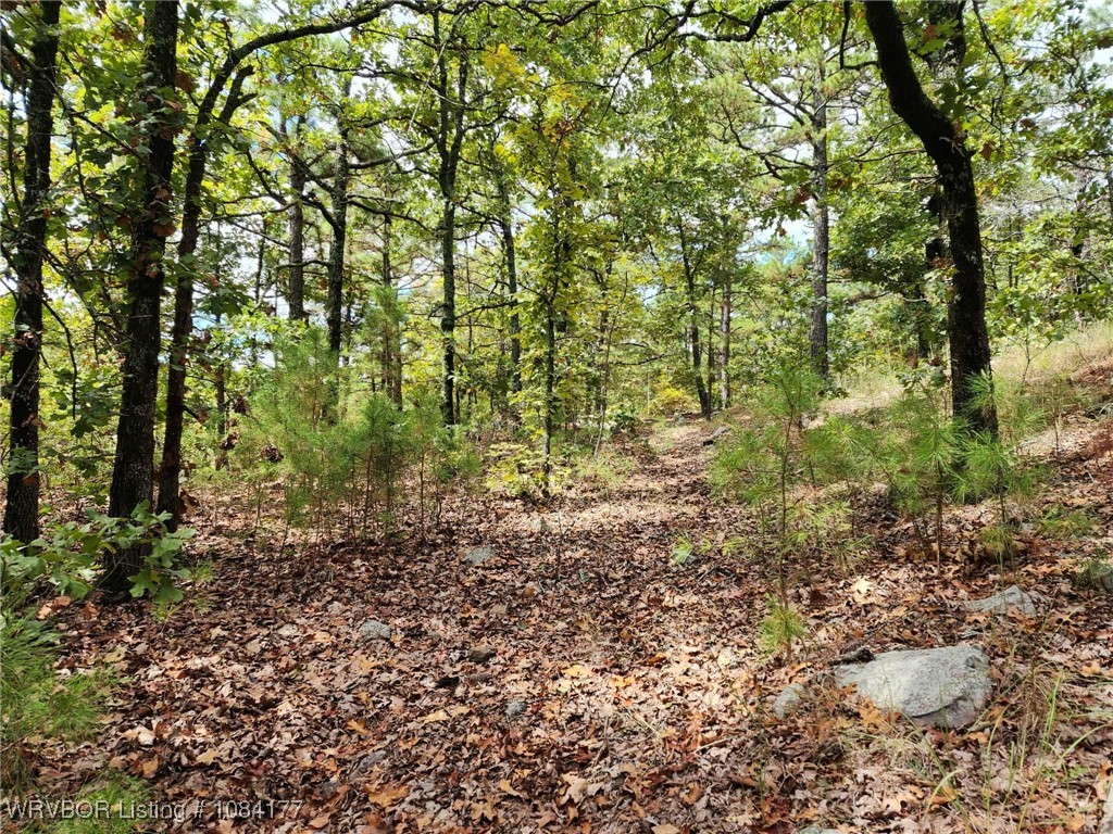 main property photo 23