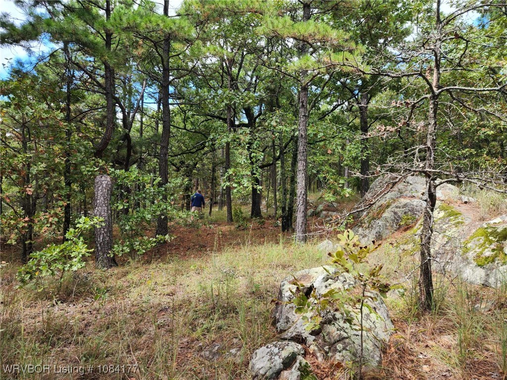 main property photo 25