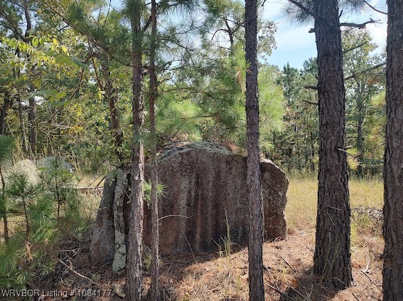main property photo 38