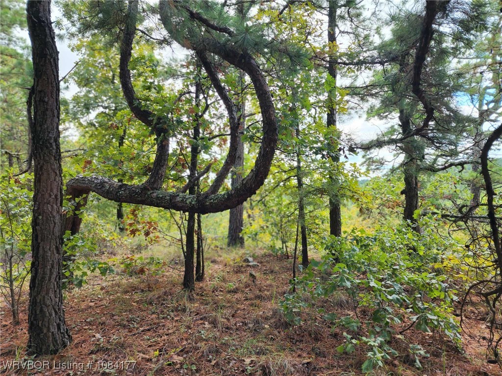 main property photo 6