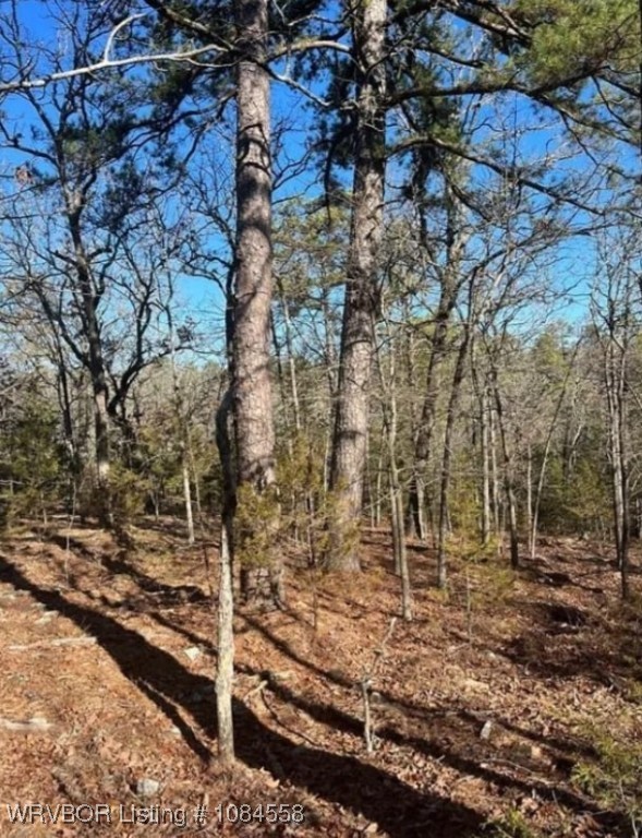 main property photo 10