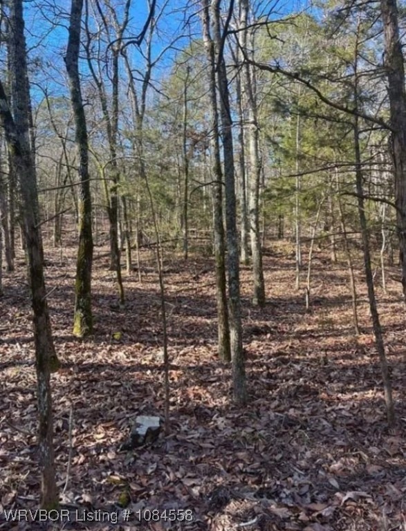 main property photo 11