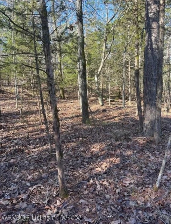 main property photo 13