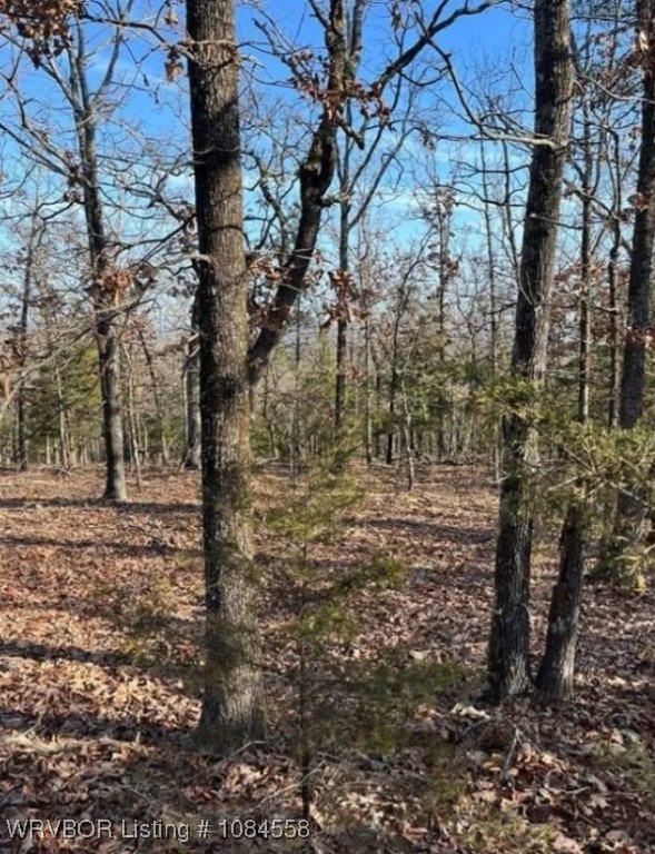 main property photo 20
