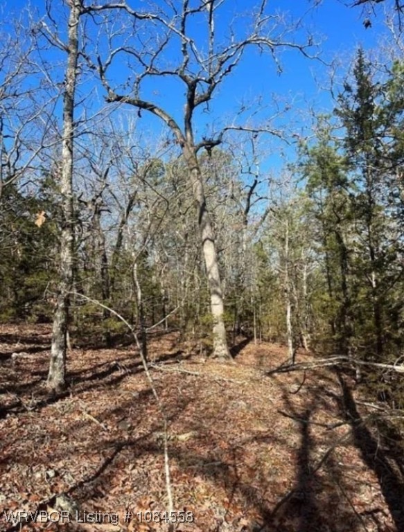main property photo 7