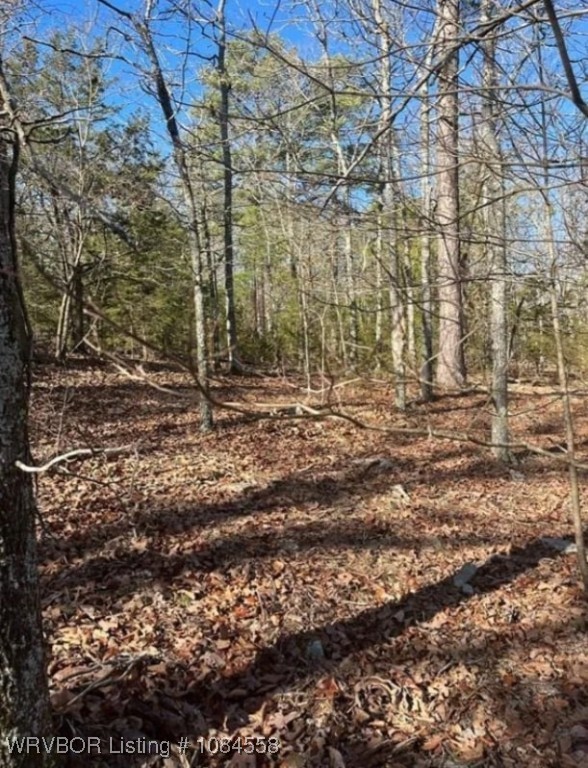 main property photo 8