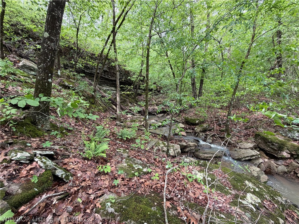 property viewer photo 2