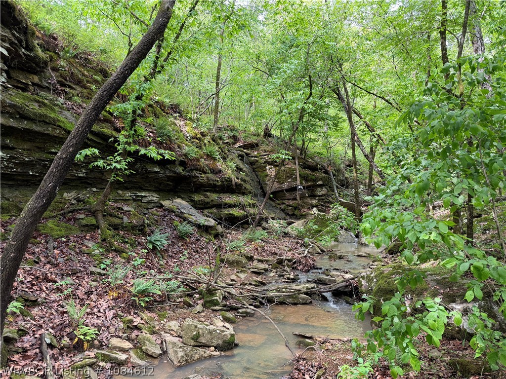 property viewer photo 4