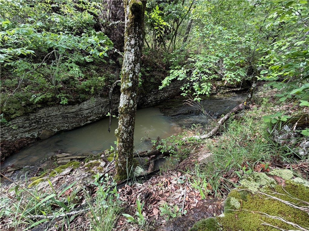 property viewer photo 6