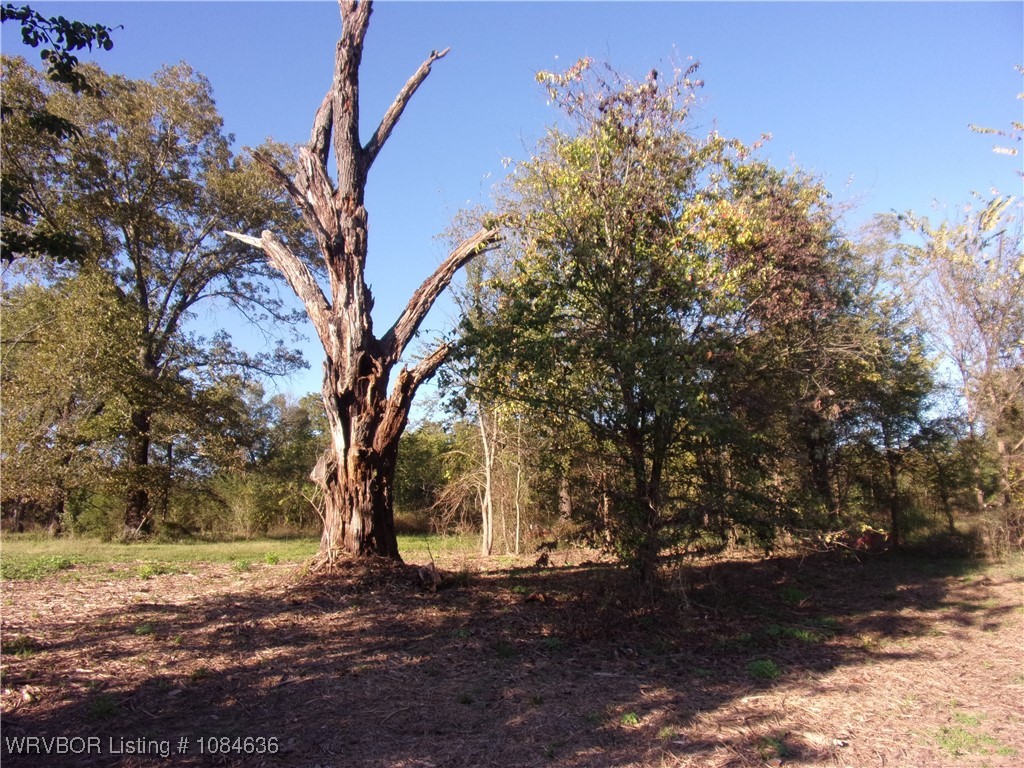 property viewer photo 27