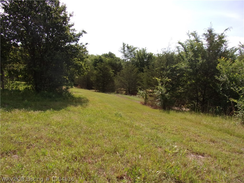 property viewer photo 41