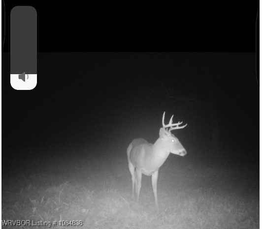 property viewer photo 43