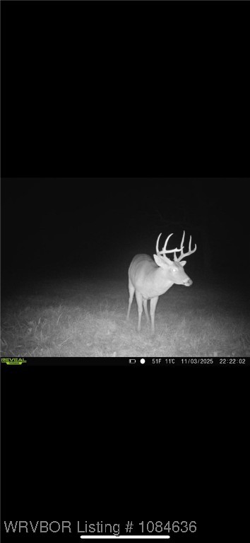 property viewer photo 44