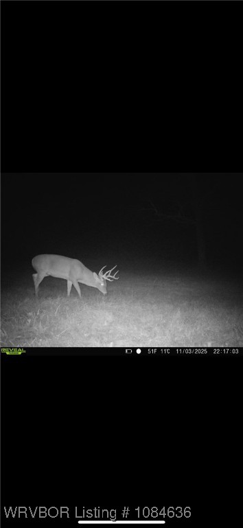 property viewer photo 45