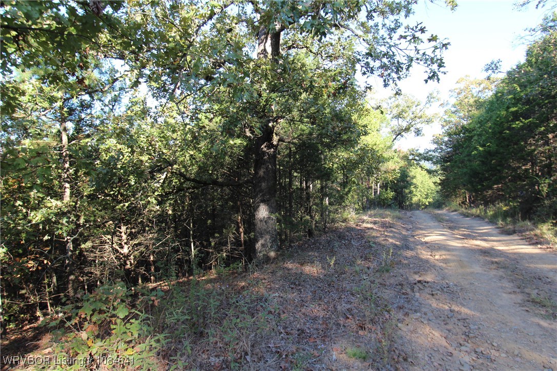 main property photo 6