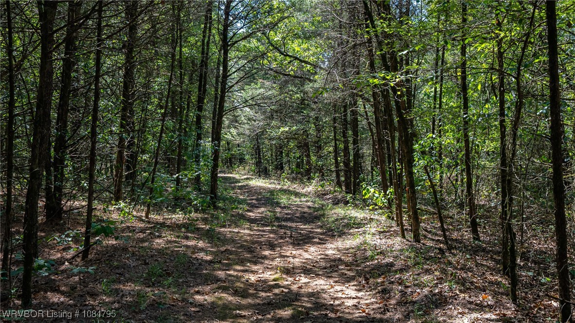 main property photo 23