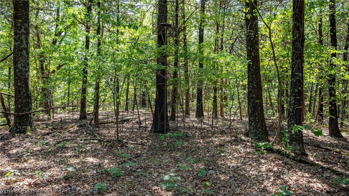 main property photo 25
