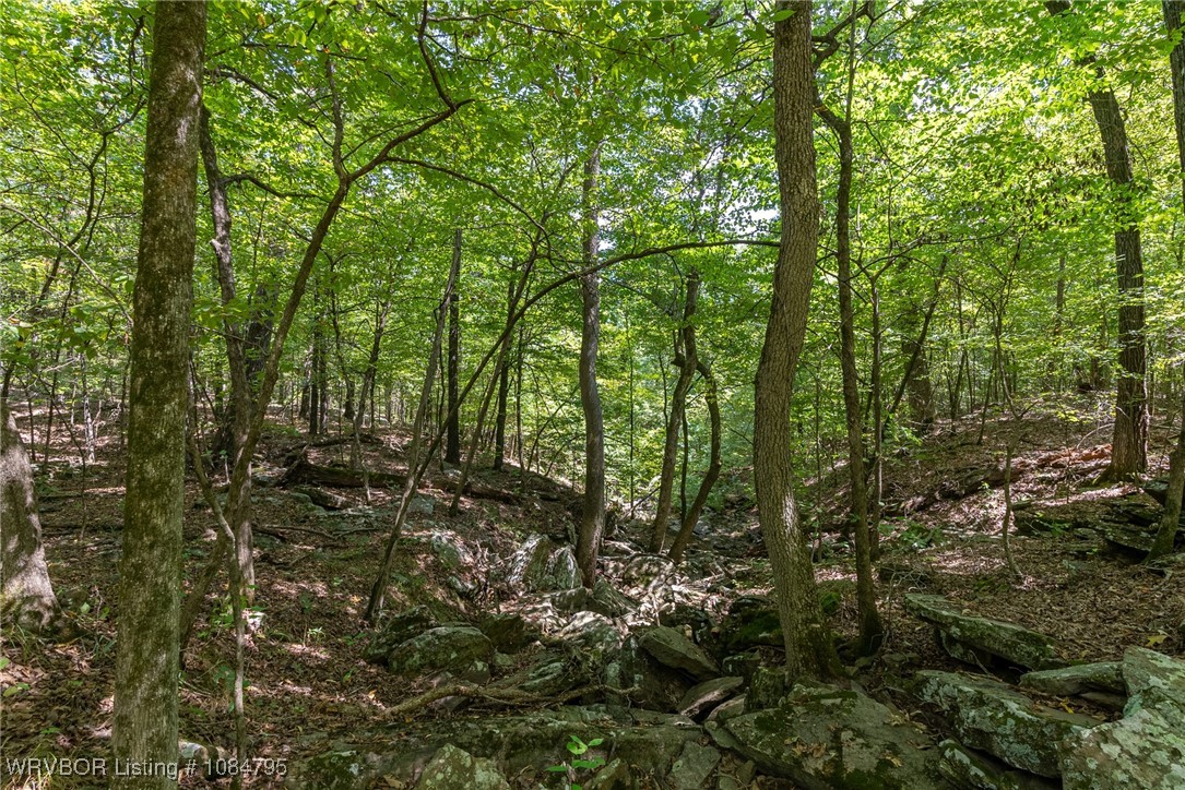main property photo 27