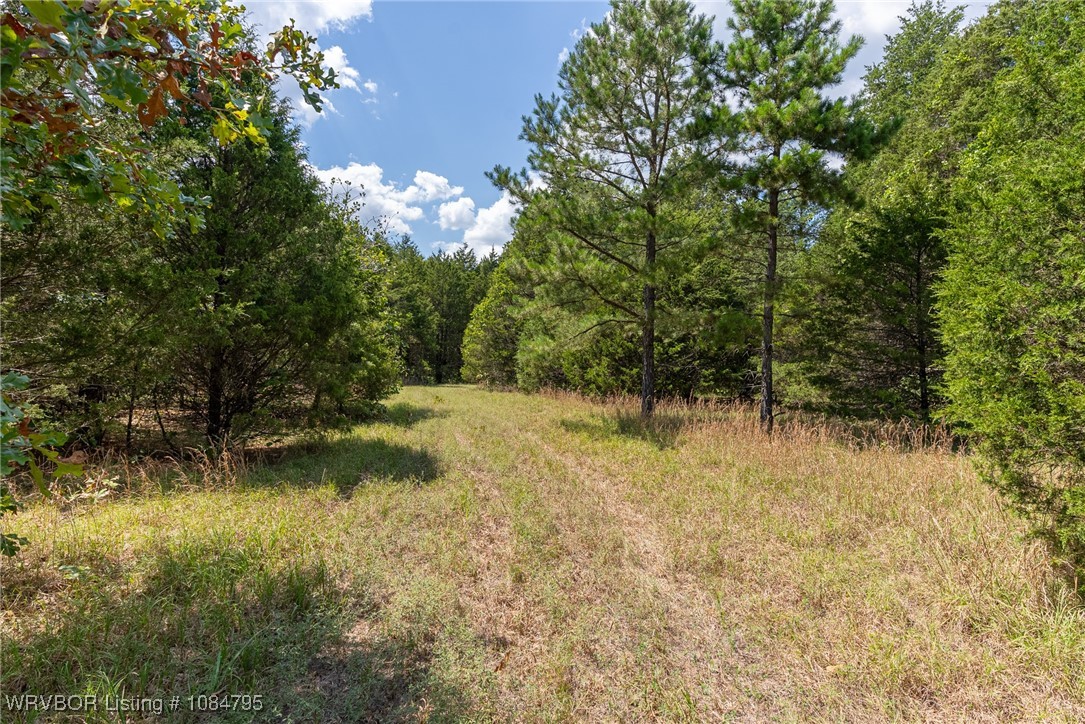 main property photo 33