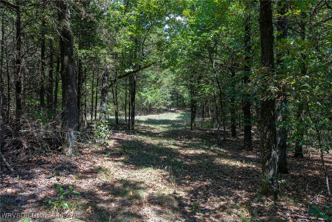 main property photo 35