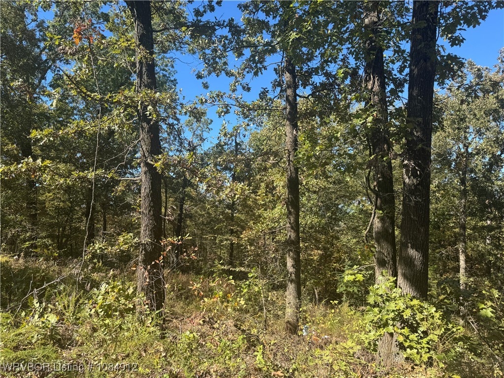 main property photo 17