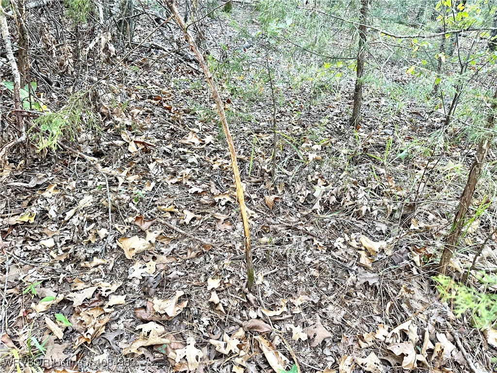 main property photo 10