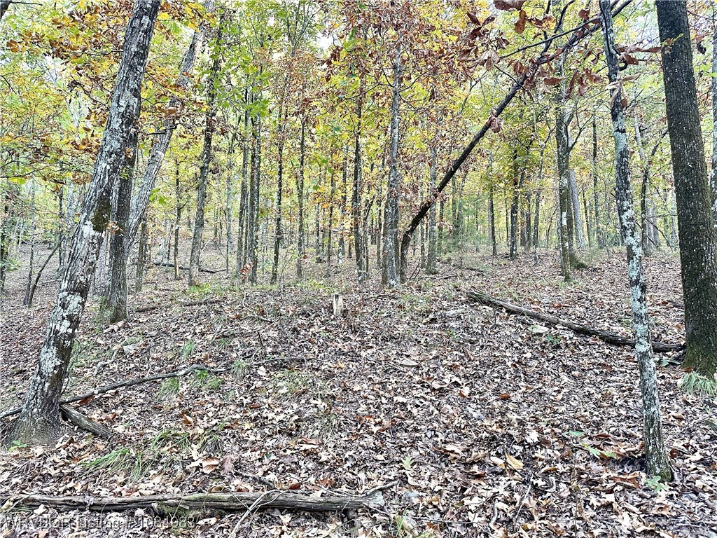 main property photo 13