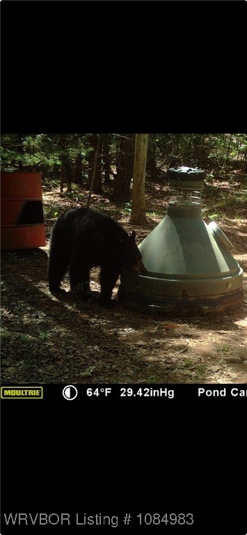 main property photo 35