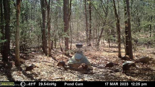main property photo 36
