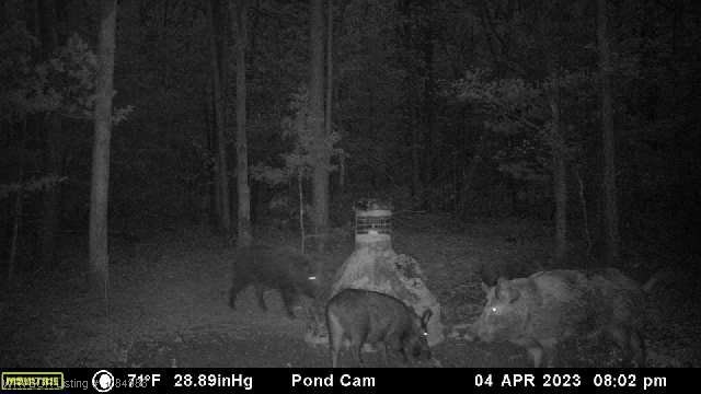 main property photo 37
