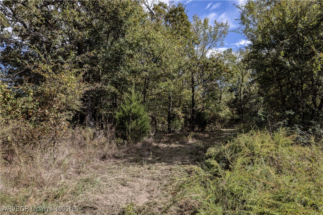 main property photo 10