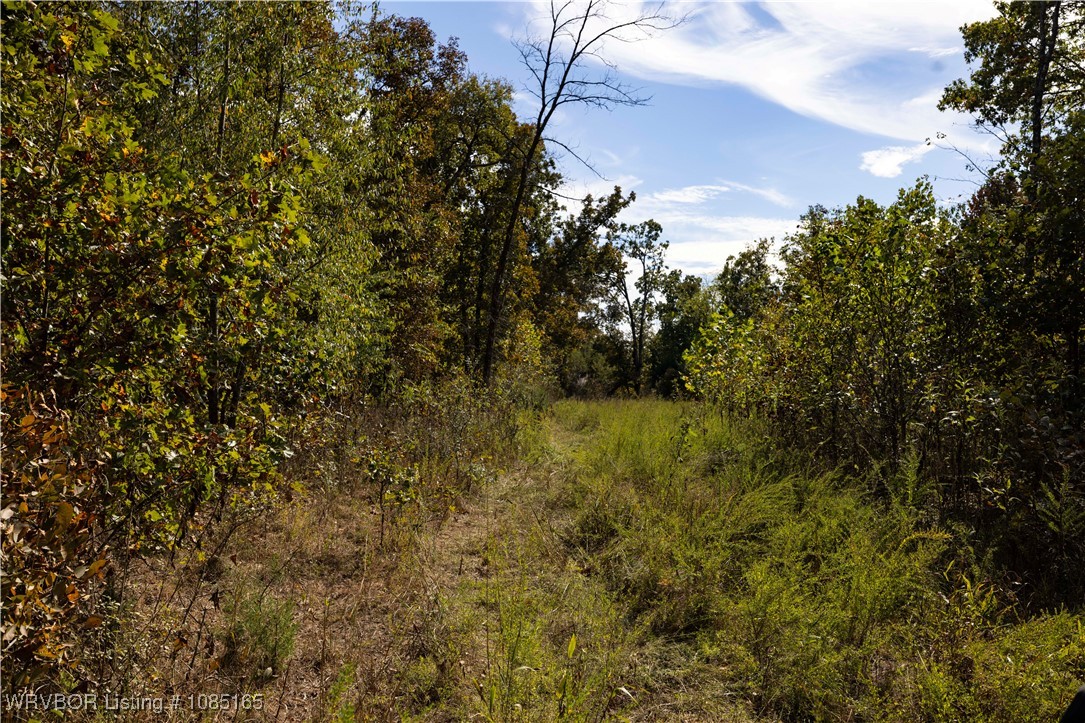 main property photo 11